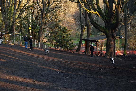 Golden Gardens Park Off-Leash Area dog park