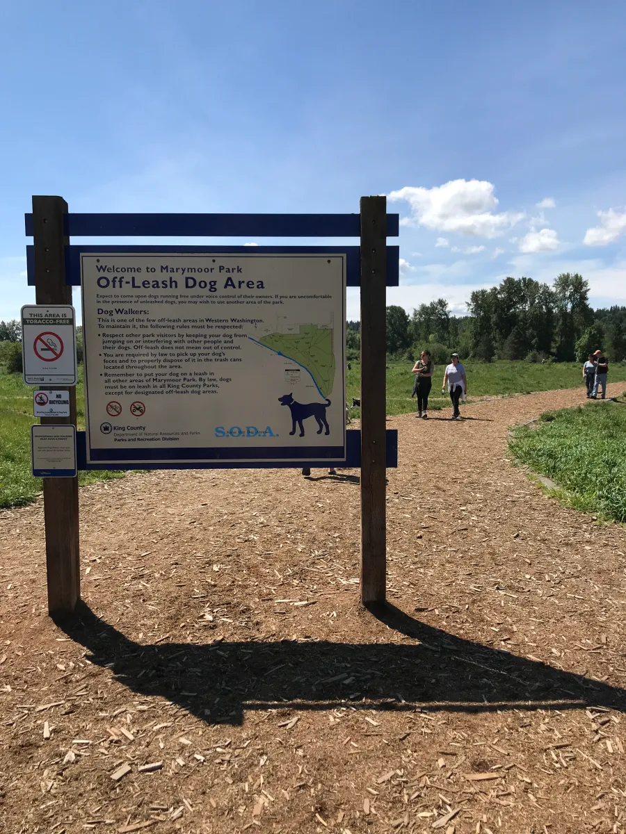 Marymoor Park Off-Leash Area dog park
