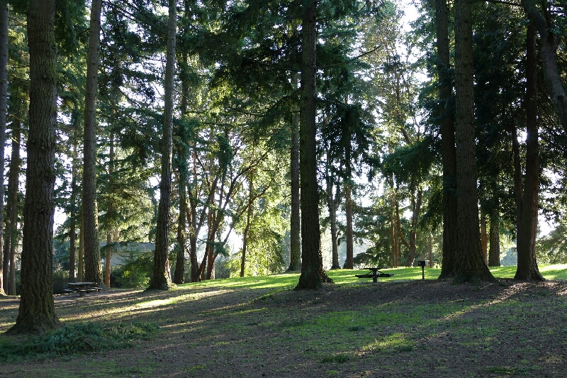 Northacres Park Off-Leash Area dog park